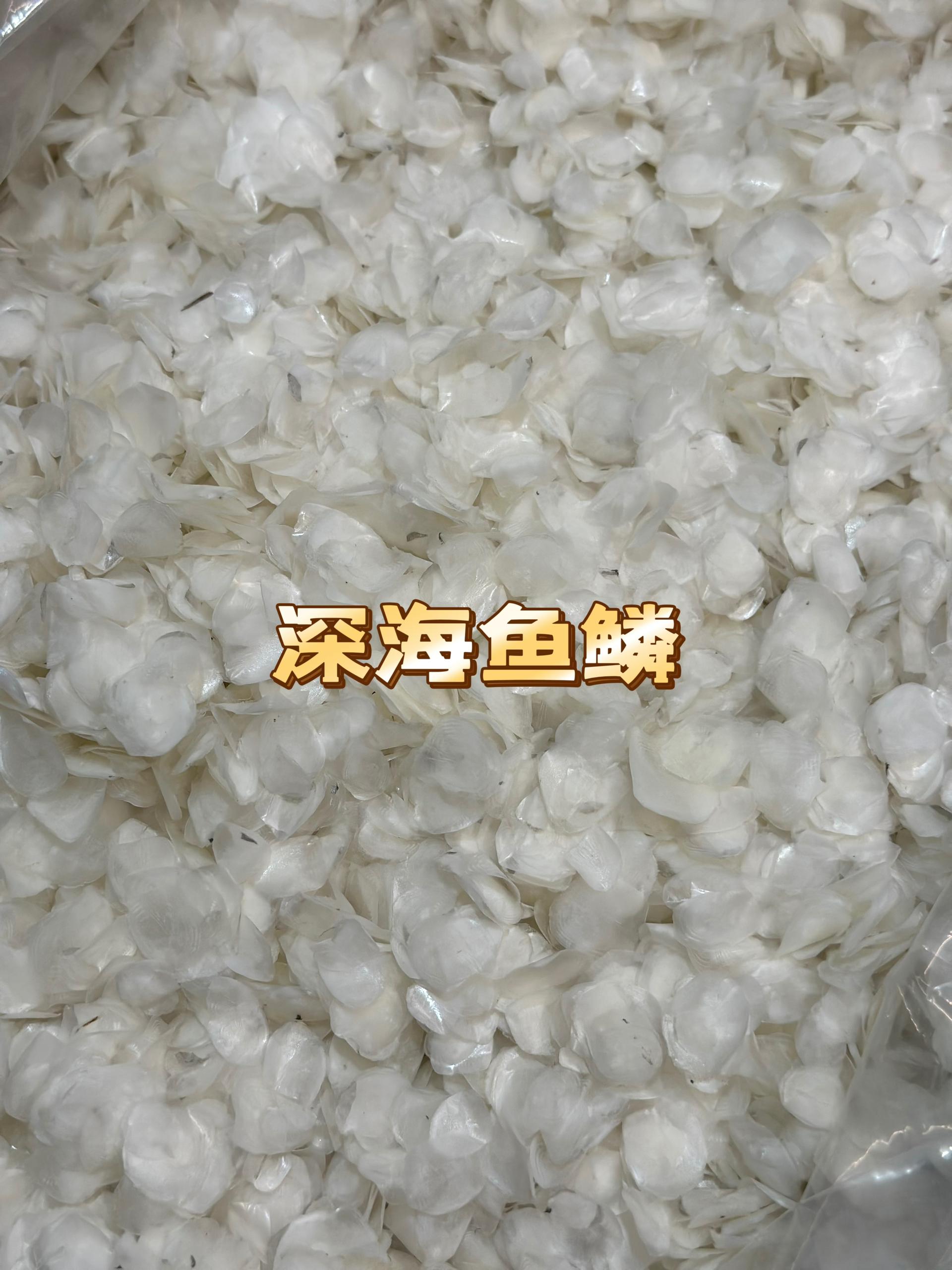 C+ 深海鱼鳞 100G RM9.90